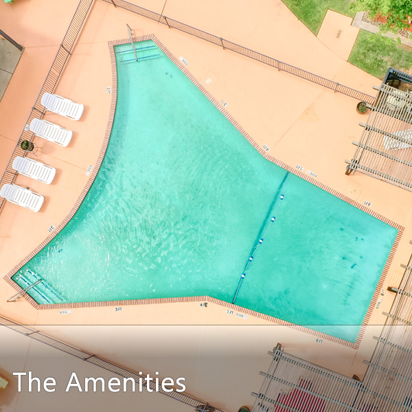 Features and Amenities